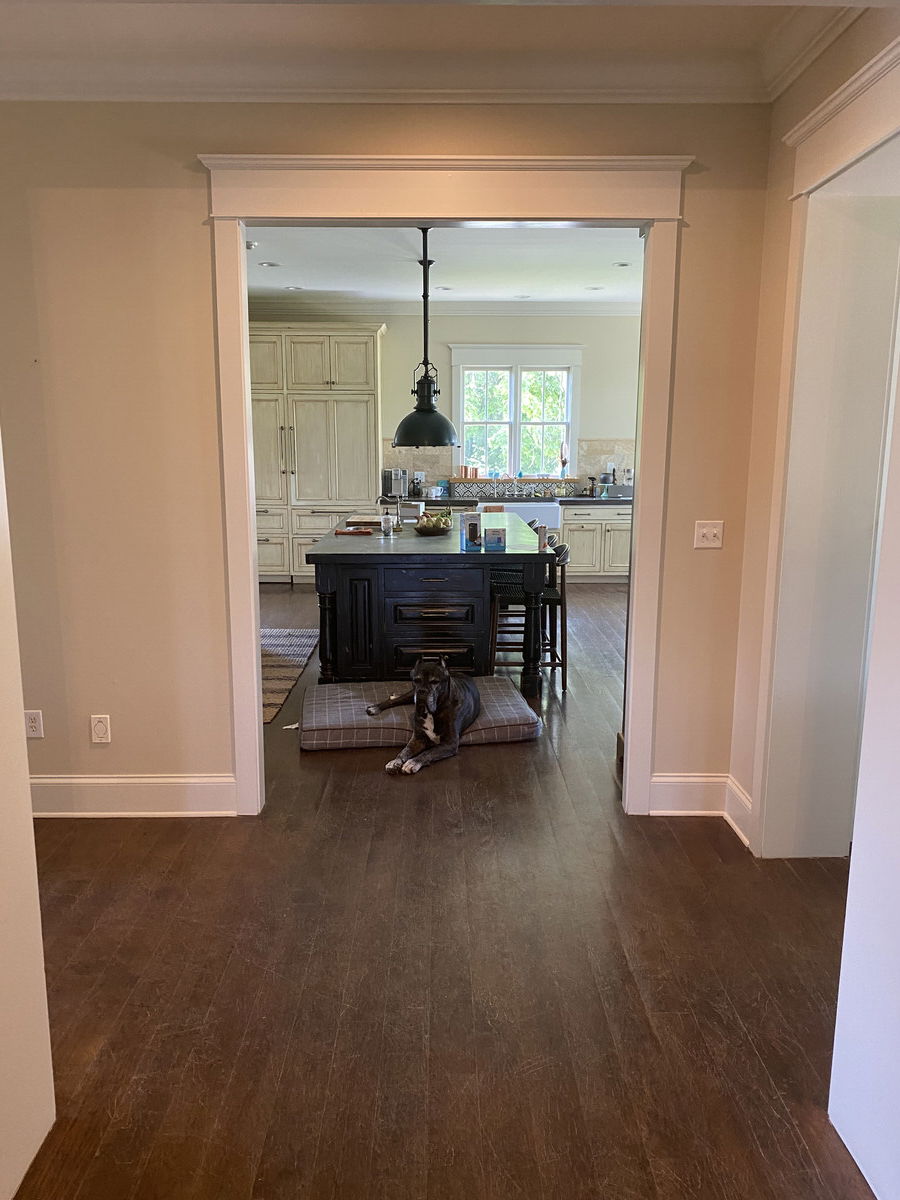 Affordable Entryway Hallway Design interior design