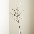Online Designer Combined Living/Dining White Cherry Blossom Flower Branch