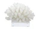 Online Designer Bedroom Polystone Acrylic Coral Sculpture