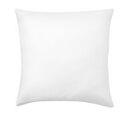 Online Designer Combined Living/Dining SYNTHETIC PILLOW INSERT