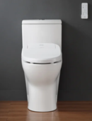 Online Designer Bathroom Bidet Toilet