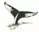Online Designer Home/Small Office Whale I Animal Drawing