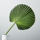 Online Designer Combined Living/Dining Faux Fan Palm Plant Leaf