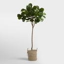 Online Designer Combined Living/Dining Faux Fiddle Leaf Fig Tree