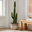 Online Designer Living Room Planter