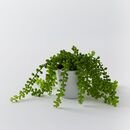 Online Designer Bedroom Faux Potted Green Trailing Succulent Plant