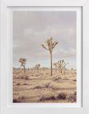 Online Designer Bedroom California Desert