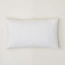 Online Designer Combined Living/Dining Decorative Pillow Inserts