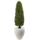 Online Designer Combined Living/Dining Boxwood Topiary in Planter