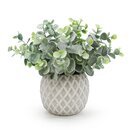 Online Designer Other 8'' Artificial Eucalyptus Plant in Pot