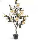 Online Designer Living Room Magnolia Tree in Planter