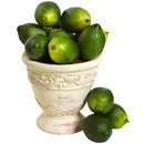 Online Designer Combined Living/Dining Faux Limes