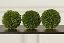 Online Designer Dining Room 5'' Faux Boxwood Topiary - set of 3