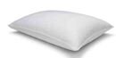 Online Designer Bedroom Organic Pillow