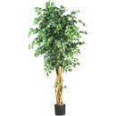 Online Designer Bedroom Palace Style Ficus Tree with Pot