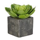 Online Designer Living Room Artificial Echeveria Succulent Desk Top Plant in Pot 