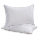 Online Designer Bedroom Allergen Barrier Pillow-set of 2