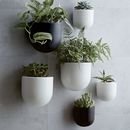 Online Designer Bedroom Ceramic Wallscape Planters