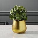Online Designer Bathroom potted eucalyptus plant
