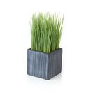 Online Designer Living Room Mini Potted Grass