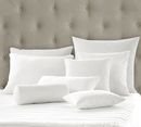 Online Designer Combined Living/Dining Feather Pillow Insert