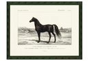 Online Designer Bedroom Horse, 1849