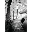 Online Designer Hallway/Entry Take a Walk by Ilona Wellmann Photographic Print on Wrapped Canvas