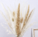 Online Designer Bedroom Pampas Grass-Natural Dried Pampas Grass Decor for Home Arrangements, Pampas Grass Plants, 18 inch Dried Flower Bouquet for Boho Decor with Clear Plastic Gift Box(White&Beige)
