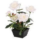Online Designer Bedroom Roses Floral Arrangement in Pot