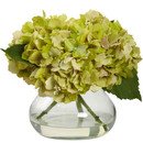 Online Designer Combined Living/Dining Blooming Hydrangea in Vase