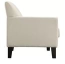 Online Designer Living Room Minisink Sofa