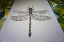 Online Designer Bathroom dragonfly handmade