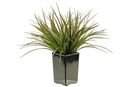 Online Designer Combined Living/Dining Brown and Green Grass in Black base Square Ceramic Planter