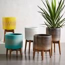 Online Designer Combined Living/Dining Mid-Century Turned Wood Leg Planters - Patterned