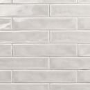 Online Designer Kitchen Seaport Hibiscus 2x10 Polished Ceramic Tile