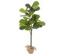 Online Designer Home/Small Office FAUX POTTED FIDDLE LEAF TREE