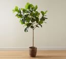 Online Designer Living Room Faux Potted Fiddle Leaf Fig Trees