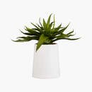 Online Designer Combined Living/Dining POTTED FAUX ALOE 9