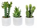 Online Designer Home/Small Office 3 Artificial Cactus Plant in Pot Set (Set of 3)