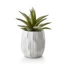 Online Designer Living Room Potted Faux Single Succulent Plant