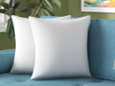 Online Designer Combined Living/Dining Decorative Pillow Inserts