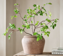 Online Designer Home/Small Office Faux Potted Bursera Plant