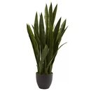 Online Designer Combined Living/Dining Sycamore Faux Sansevieria Floor Plant in Pot