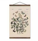 Online Designer Living Room Vintage Butterfly Diagram Wall Hanger