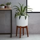 Online Designer Combined Living/Dining Mid-Century Turned Leg Standing Planters - Solid