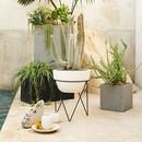 Online Designer Living Room Iris Planter + Chevron Stand