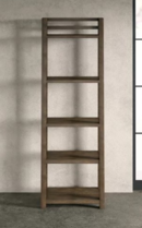Online Designer Living Room Arbyrd Leaning Ladder Bookcase