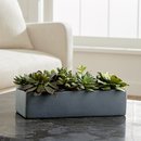 Online Designer Combined Living/Dining Artificial Succulents in a Pot