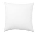 Online Designer Combined Living/Dining Down Feather Pillow Insert, 24