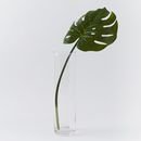 Online Designer Bedroom Faux Monstera Plant Leaf